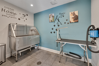 Pet spa